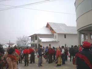 Ursii de la Darmanesti