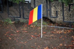 1 Decembrie - Steagul Romaniei