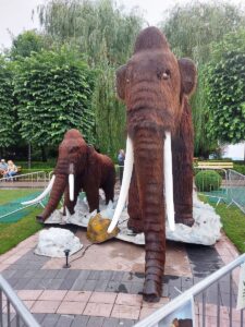 Mamut adult și manut bebe